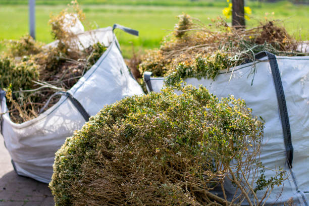 Best Same-Day Junk Removal  in Apollo, PA